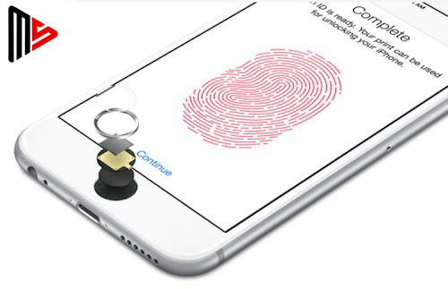 Đầu đọc vân tay hoạt động như thế nào ?