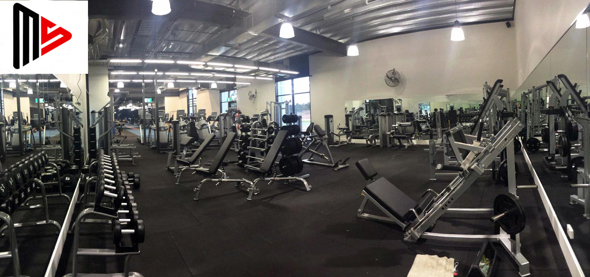 Phần mềm Gym - Giải pháp tối ưu cho bạn