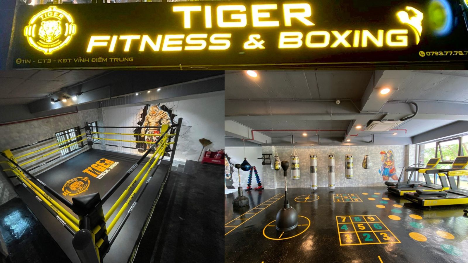 TRIỂN KHAI PHẦN MỀM MODUNGYM TIGER FITNESS BOXING TẠI NHA TRANG