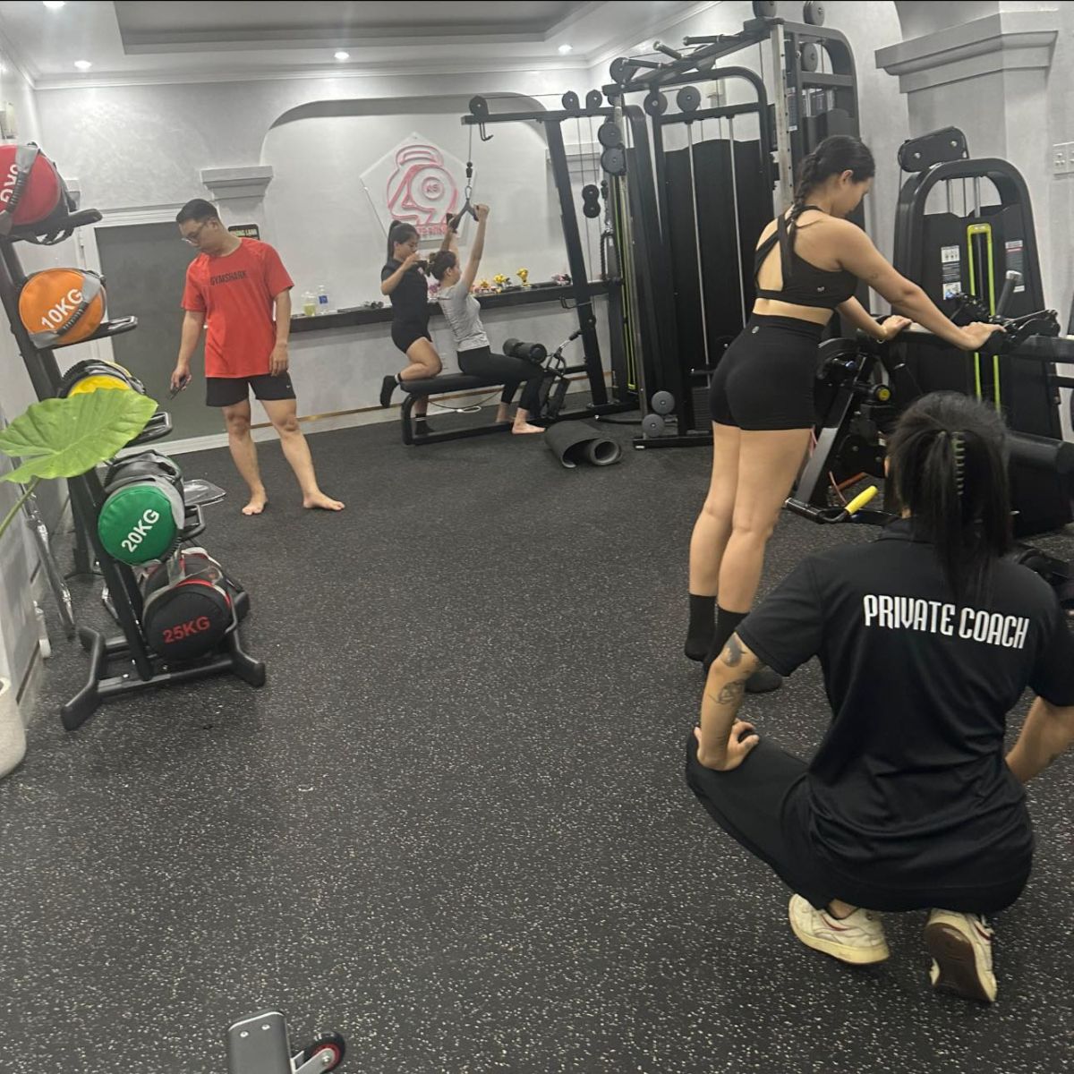 TRIỂN KHAI PHẦN MỀM QUẢN LÝ GYM MODUN CHO 49KG PRIVATE GYM