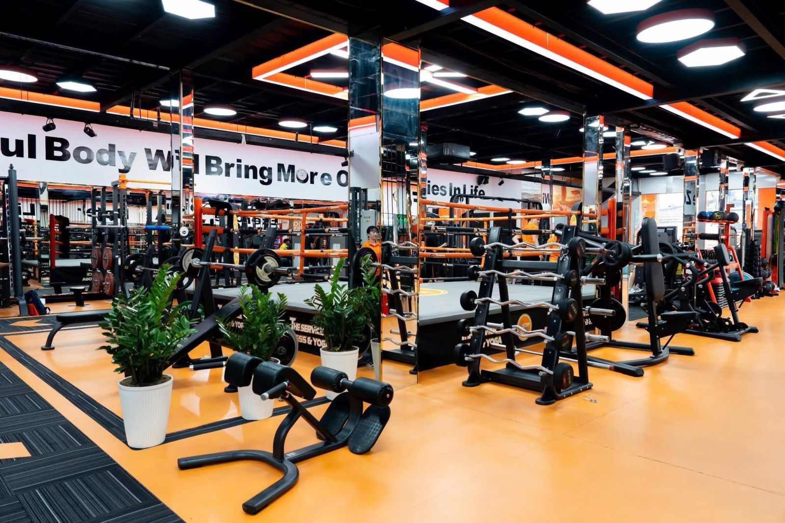 TRIỂN KHAI PHẦN MỀM QUẢN LÝ GYM MODUN CHI NHÁNH 7 THE SERVICE FITNESS & YOGA TẠI BÌNH CHÁNH