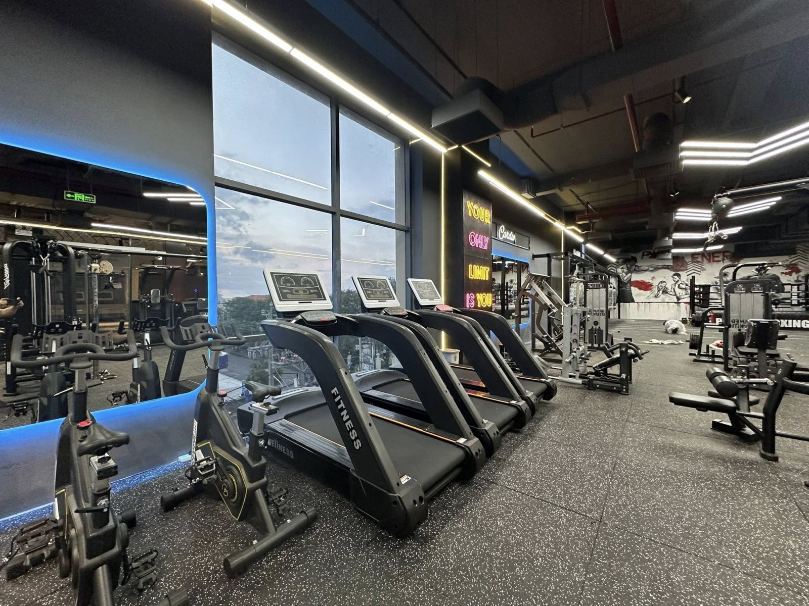 Modun triển khai phần mềm quản lý gym ModunGym, Máy chấm công checkin Face Id, và app hội viên, cho phòng tập PHOENIX GYM & BOXING FITNESS CENTER tại Bạc Liêu.