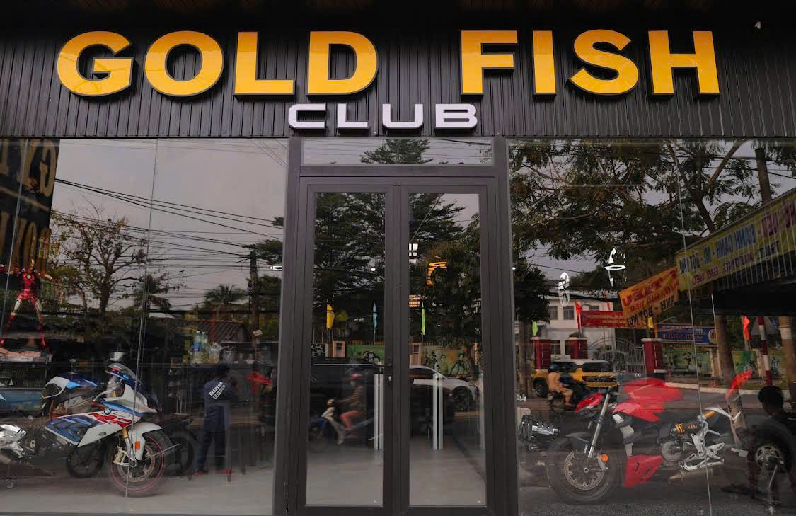 TRIỂN KHAI PHẦN MỀM QUẢN LÝ GYM CHO GOLD FISH TẠI BẾN TRE
