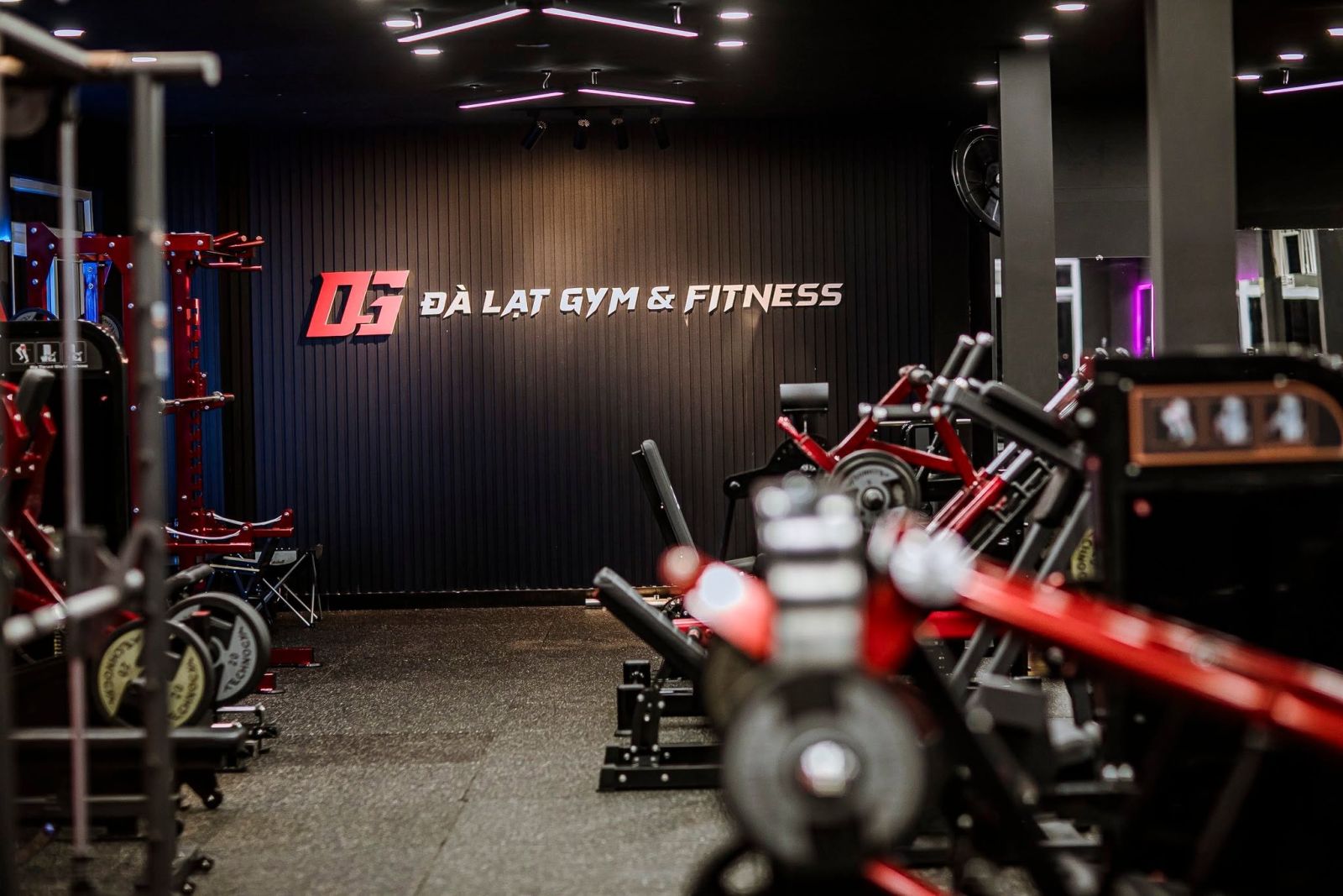 Triển Khai Phần Mềm Gym Modun Tại Đà Lạt Gym & Fitness