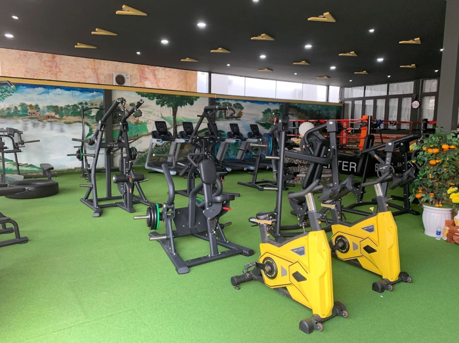 TRIỂN KHAI PHẦN MỀM QUẢN LÝ GYM MODUN 2 CHI NHÁNH PHÒNG RIO GYM